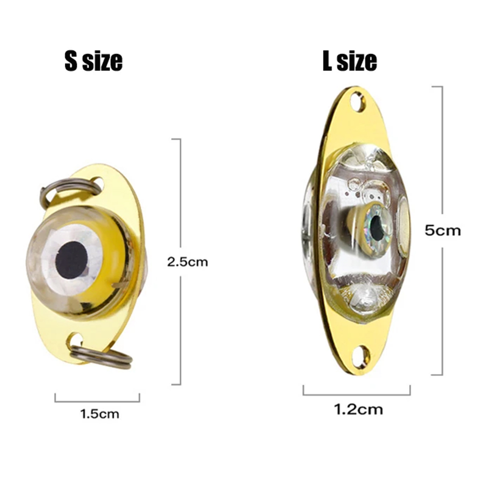 프로 BEROS LED 낚시 딥 드롭 낚시 조명, LE - Fishing Lure Spoon 리뷰 및 가격